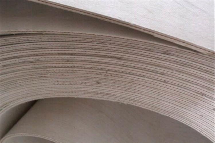 帆布分层输送带输送黏性物质易沾料 解决方法在(图1)